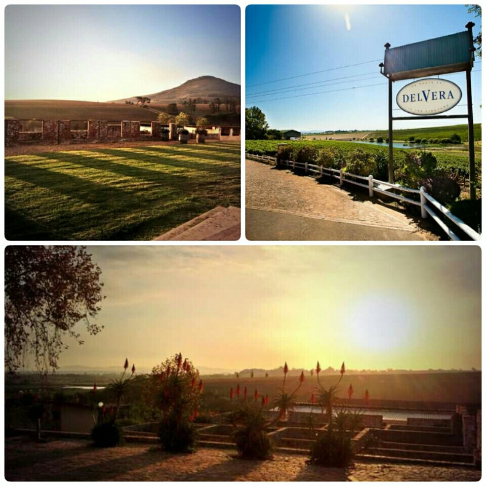 Delvera's tweet image. #ff #Stellenbosch  @MarindaSoU  @Janneke_I_am @PCSkiing @BackpackerStuff @TOPBRASSVODKA @nico_kotze @lonelyplanet