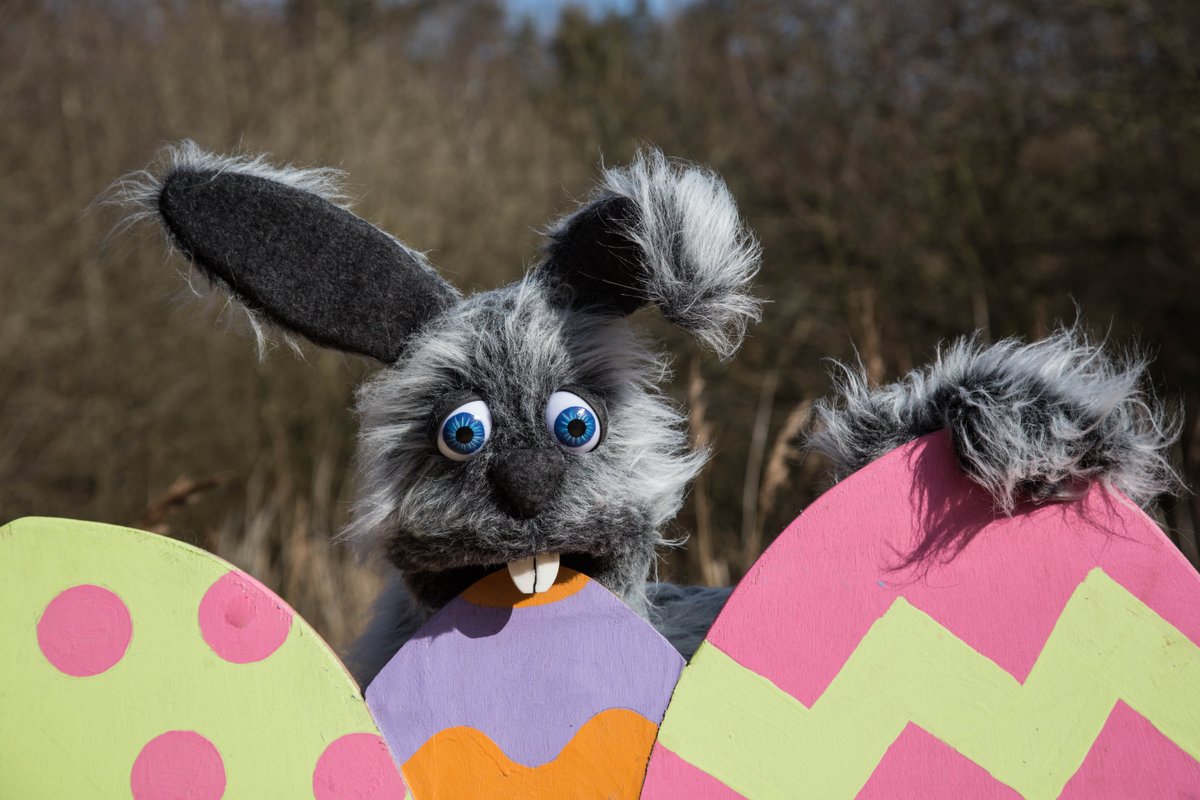 vstnorthnorfolk's tweet photo. Why not visit @BeWILDerwood for a very special Easter 2016 with Cedric the Easter bunny! https://t.co/l0Wiltif1b https://t.co/mru2S0WwXA