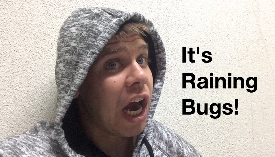 kiakahaj's tweet photo. Got #bugbombed while filming today's vlog! https://t.co/9K1jqiIU3o #project29 #benandjay #dailyvlog #Eeeeewww #NZ https://t.co/7uFtyP1rDR