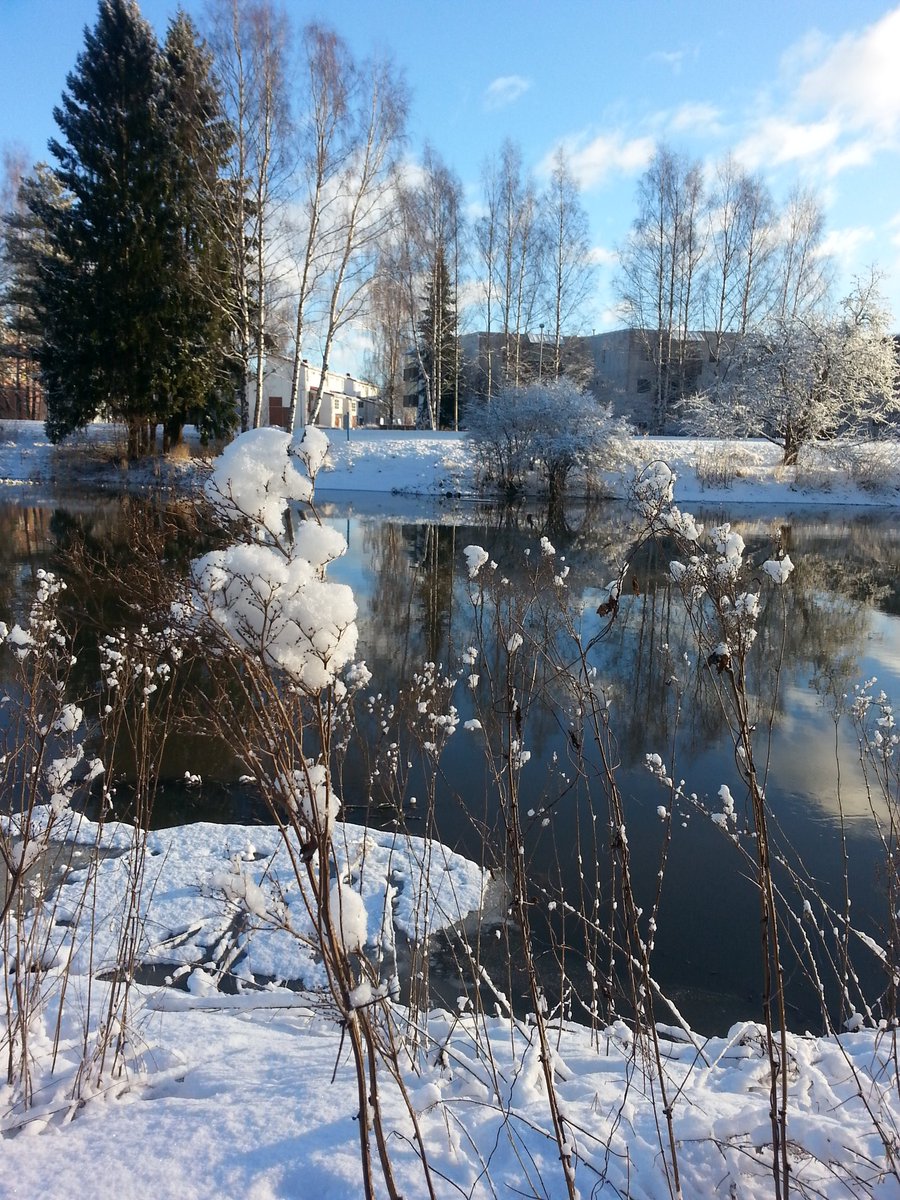 anu_luoto's tweet photo. Upea aamu Helsingissä. #Takatalvi vai oliko se sittenkin #etukevät? https://t.co/G5hE0bYLVz