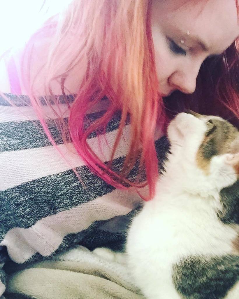 Chatchatcatcat's tweet image. Hyvässä seurassa 💝 #pumpuli #Lumikki #love #lovebug #calico #catsie #instacat #catstagram #catsofinstagram #babycat…