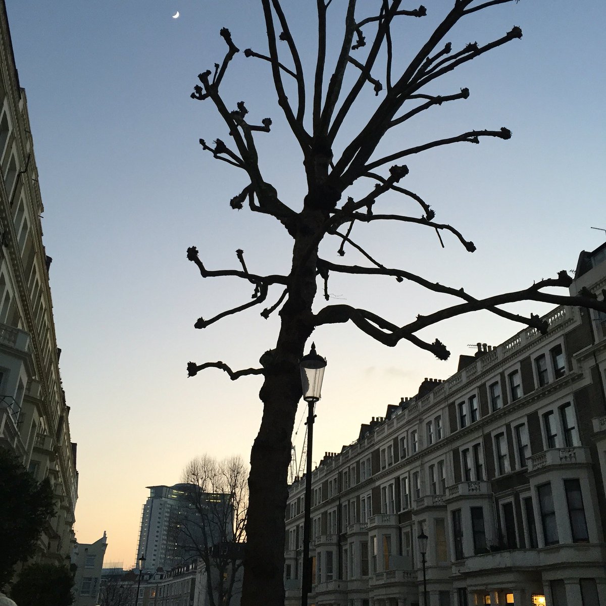 Una nueva etapa empieza para mí ,aquí, en Londres....para soltar mis alas y volar..