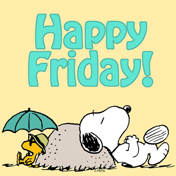 Premium_Plan's tweet image. #HappyFriday Lets hope it's a #sunny #weekend ... Have a fab one!
