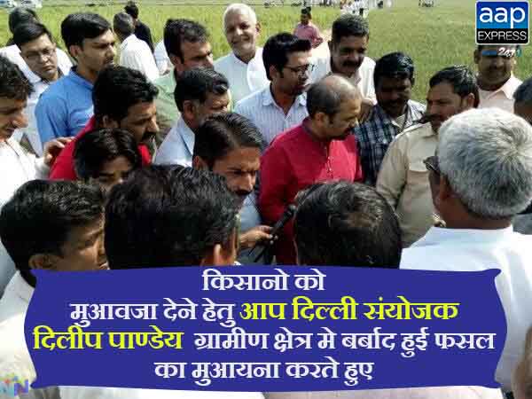 ChoradiyaMehul's tweet photo. किसानो को मुआवजा देने हेतु #आप दिल्ली संयोजक @dilipkpandey  ग्रामीण क्षेत्र मे बर्बाद हुई फसल का मुआयना करते हुए https://t.co/K7CxgV0Eny