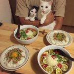 猫にとっても飯テロ？料理によってリアクションが違う猫!