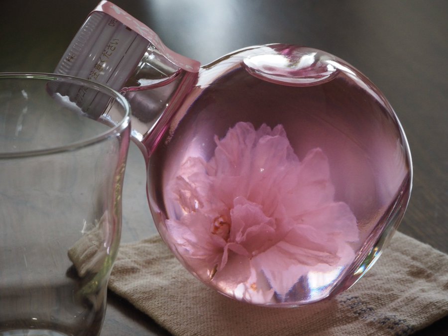 お花見や女子会にもオススメの桜のお酒 年新発売のお酒もご紹介します