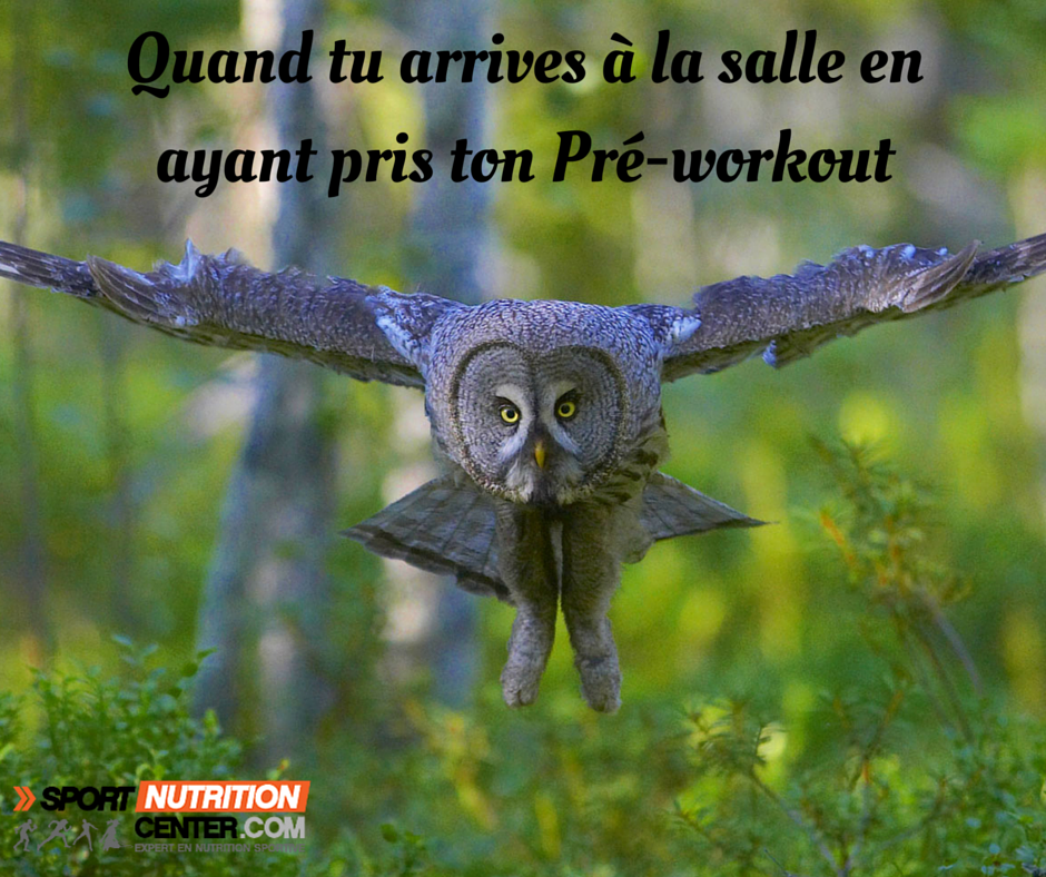 Je vole les gars ! goo.gl/vbO7Ik #training #nutrition #sports