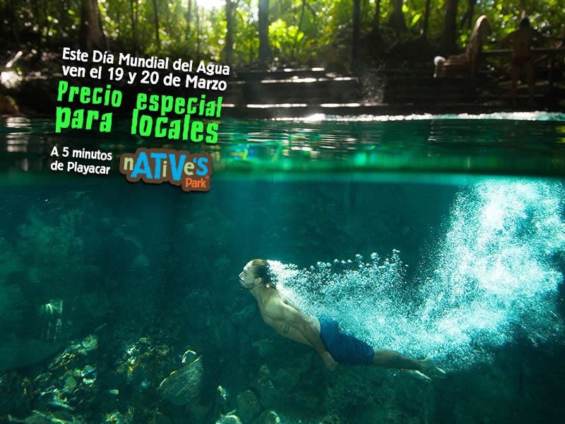 merkadoteknia's tweet photo. Este 19 y 20 de marzo precio especial para locales!! #NativesPark By @AlltournativeMX https://t.co/nKOseK8D2M