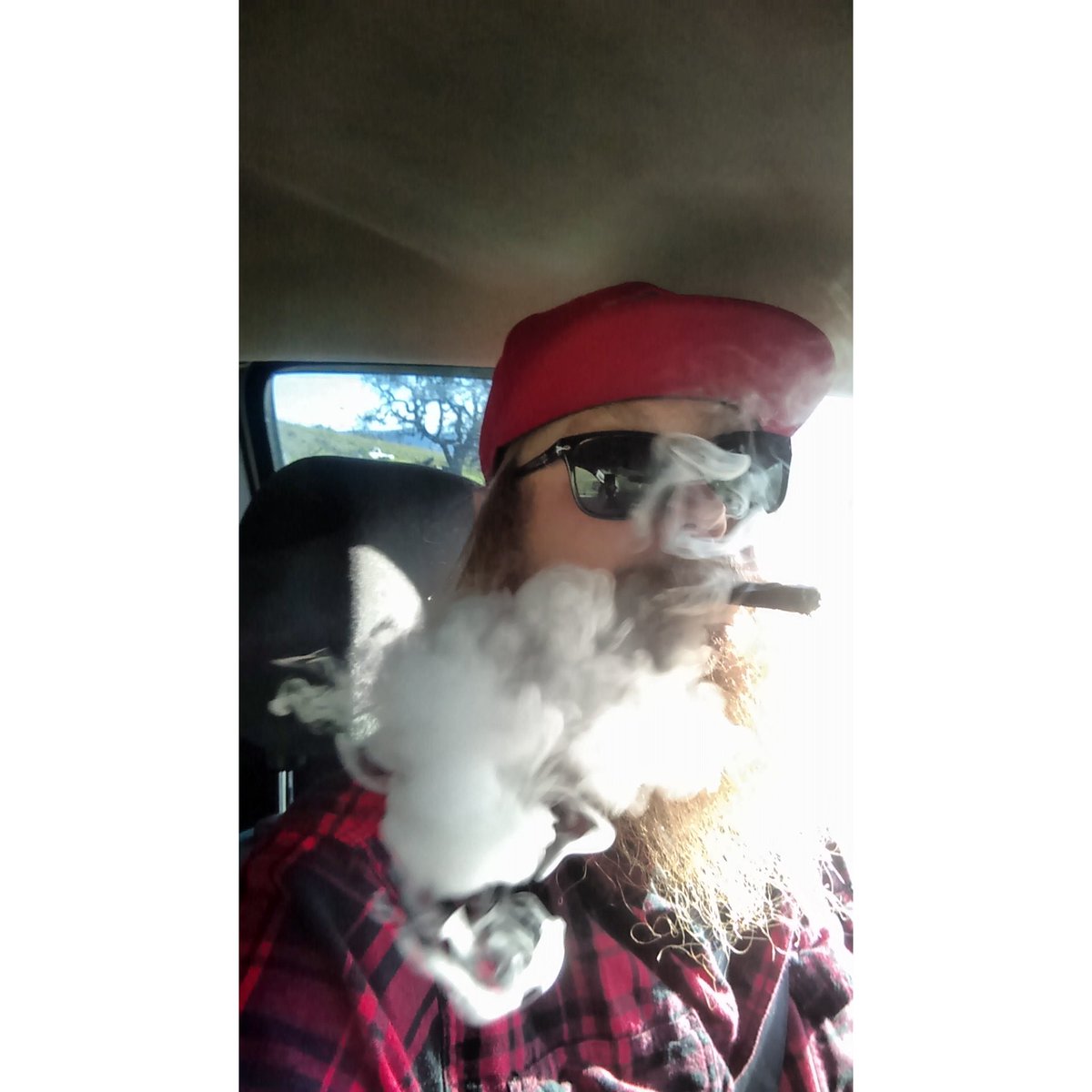 GORILLASTATUS1's tweet photo. #blunt30 @RichardsonNigel @mmjbillboard @GINJAHMUSIC @adam_brant @ZanderBrant @E40 @BennyUnk @420Magazine @420nurses https://t.co/OUg9tITw3D