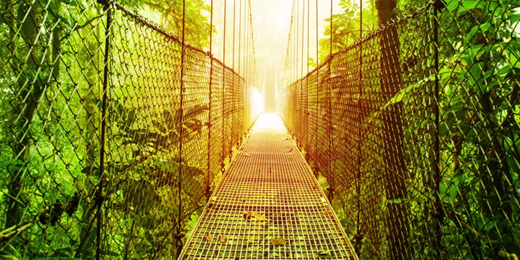 statravelUS's tweet image. Here&apos;s our top 8 Costa Rica Adrenaline Rushes to get the heart pumping! sta.travel/1nUyjsc #STABlog