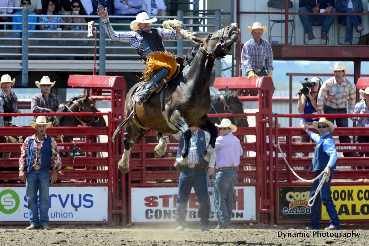 PonokaStampede's tweet photo. Join us June 27- July 3, 2016 and see why the 80yr old @PonokaStampede continues to captivate rodeo fans! https://t.co/1gEiD0qUPl