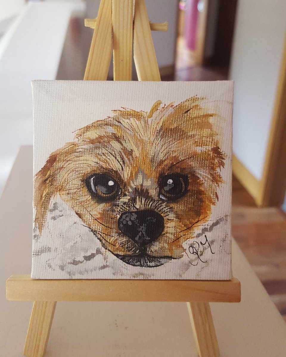 KarenWuffleluv's tweet photo. #minicanvas #wuffleluv #petportait #onyourdesk #penandwatercolor https://t.co/yiLbJ2ISC4