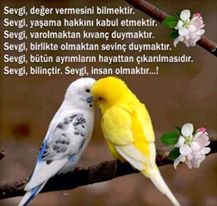 34ayse58 (@ayseeda34) on Twitter photo 