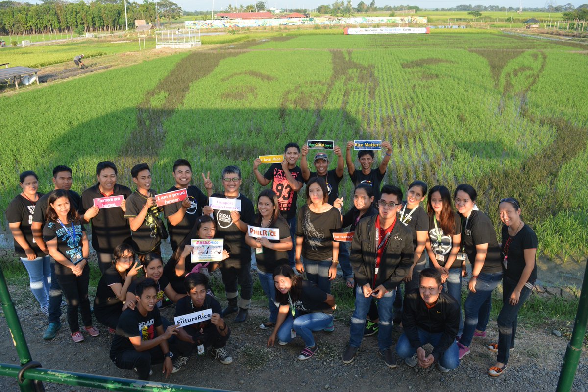 FutureRiceFarm's tweet photo. Wondering how the Aldub Rice paddy art was planted? This team did it! #AldubRice https://t.co/yfY4TUzQmu https://t.co/2OIijg54vj