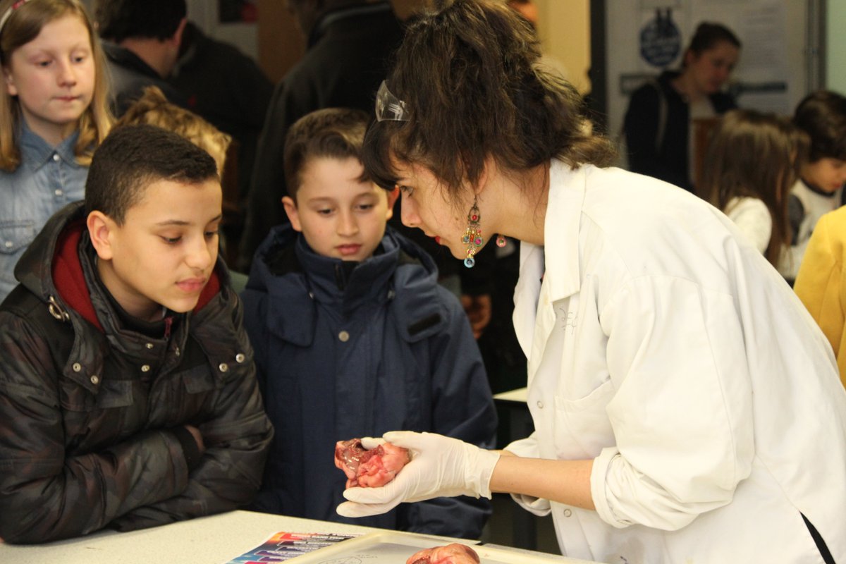 HCACP's tweet photo. Photos from last nights amazing #ScienceOpenEvening full of experiments and live demonstrations. @HarrisFed https://t.co/zybHxUJ40T