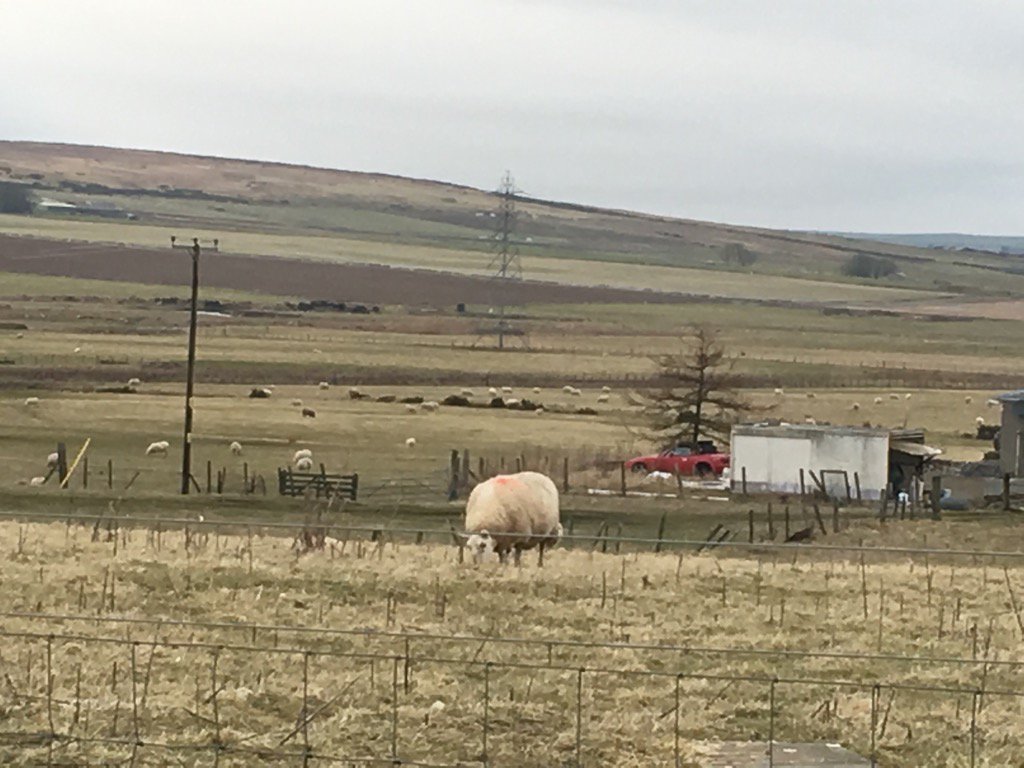 s_young83's tweet image. Back from Caithness, lovely part of country. Good ambitious co-op and 67mpg on way home! #averagespeed