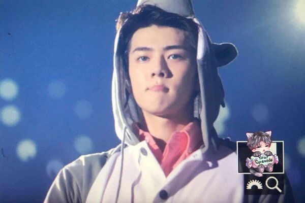 NearMelL_1989's tweet photo. แก๊งสัตว์โลกน่ารัก ใครให้ใส่เนี่ย น่าร้ากกกกกกกกกกกก https://t.co/QEKjCx4v0x