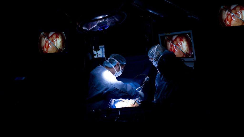 statnews's tweet photo. In groundbreaking trials, surgeons to use infected kidneys for transplants https://t.co/AZdKp7rykE https://t.co/imJO2y5mf5