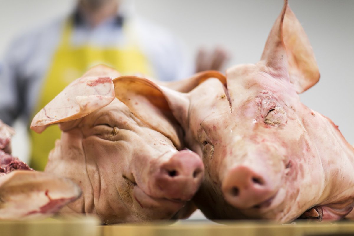 Watch food history come alive with our Classic Curing Course on Sat 7th May - bit.ly/1XzZhBC