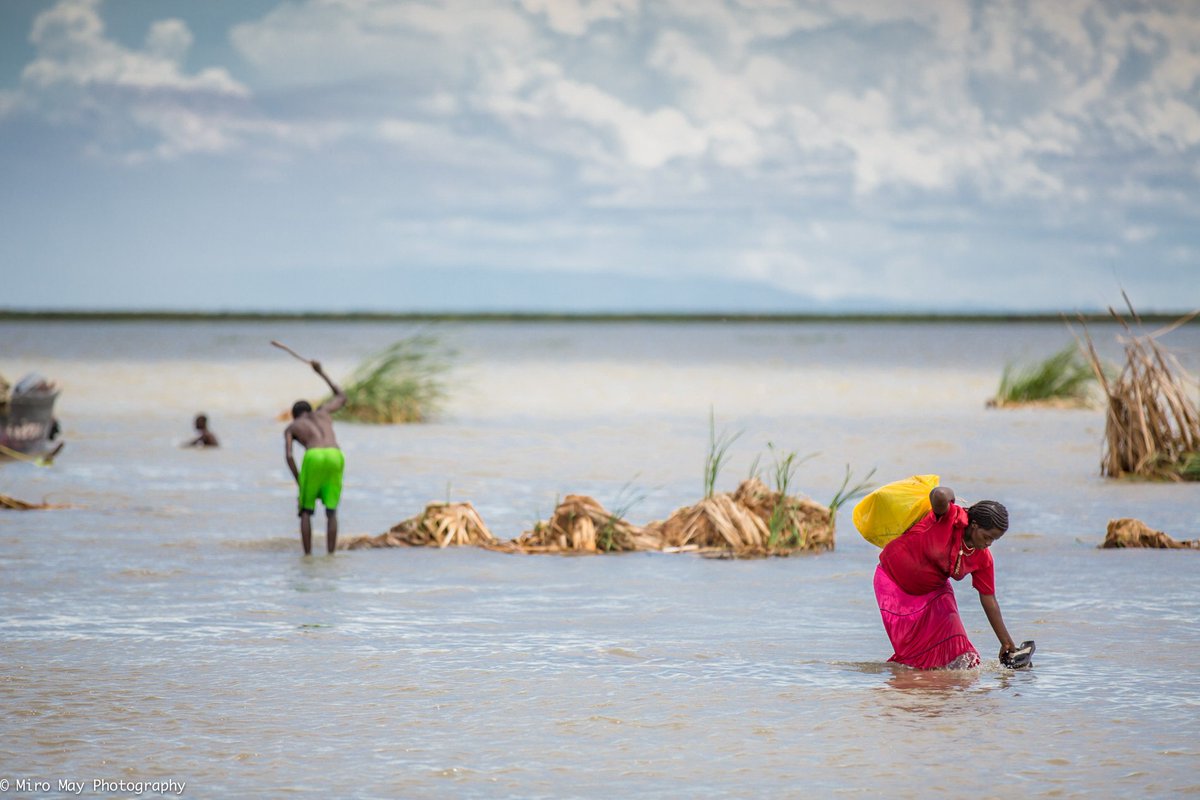 Miro_May's tweet photo. #Lake #Turkana in #Kenya 
#MiroMay #africa #travel #photography #photographer #storytelling #Photojournalism https://t.co/qwysUB3V54