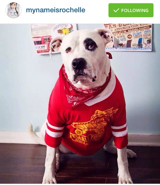 Small Town Outlaws tweet media