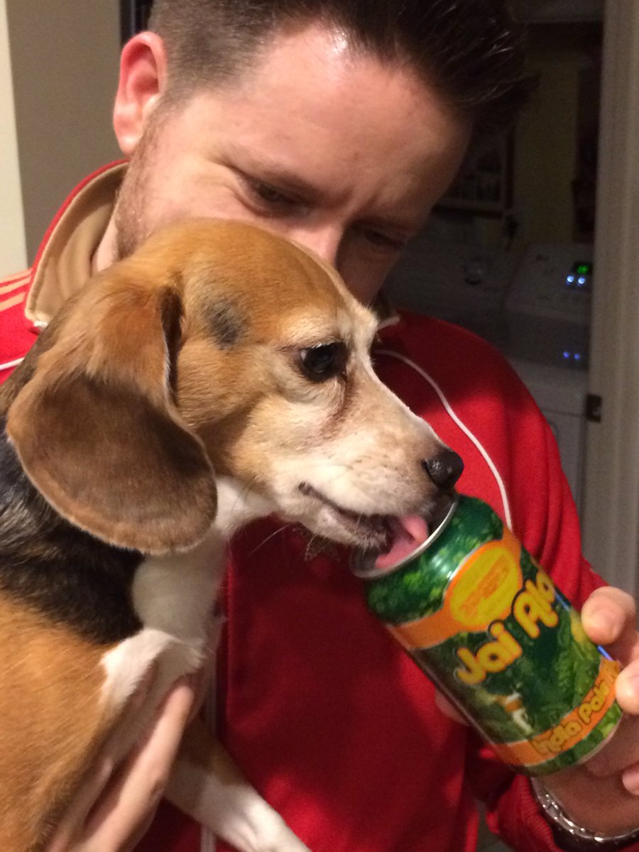 chloescanbeer's tweet image. Cigar City - Jai Alai - 4.25 tailwags @CigarCityBeer #fastestgame #fastestbeagle #uncleryan @War_Eagle_RTO