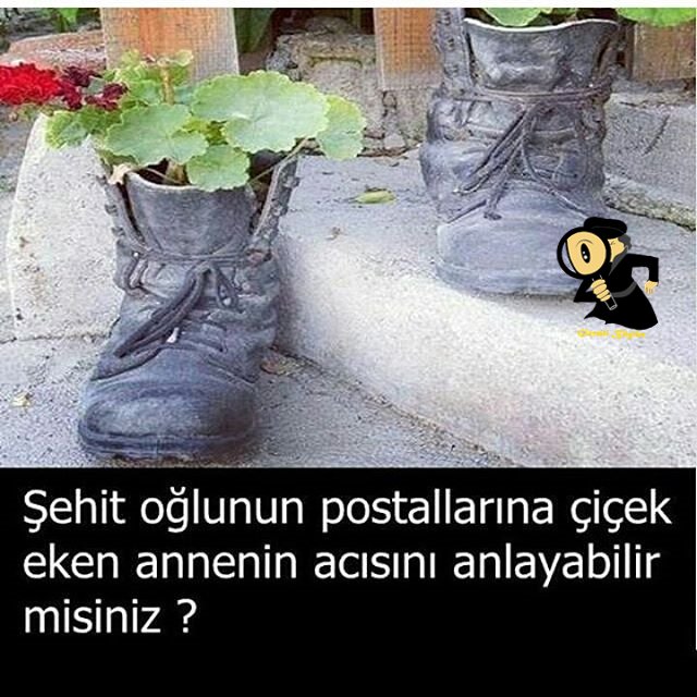 Gizemli Bilgiler (@gizemlibilgiyt) on Twitter photo 