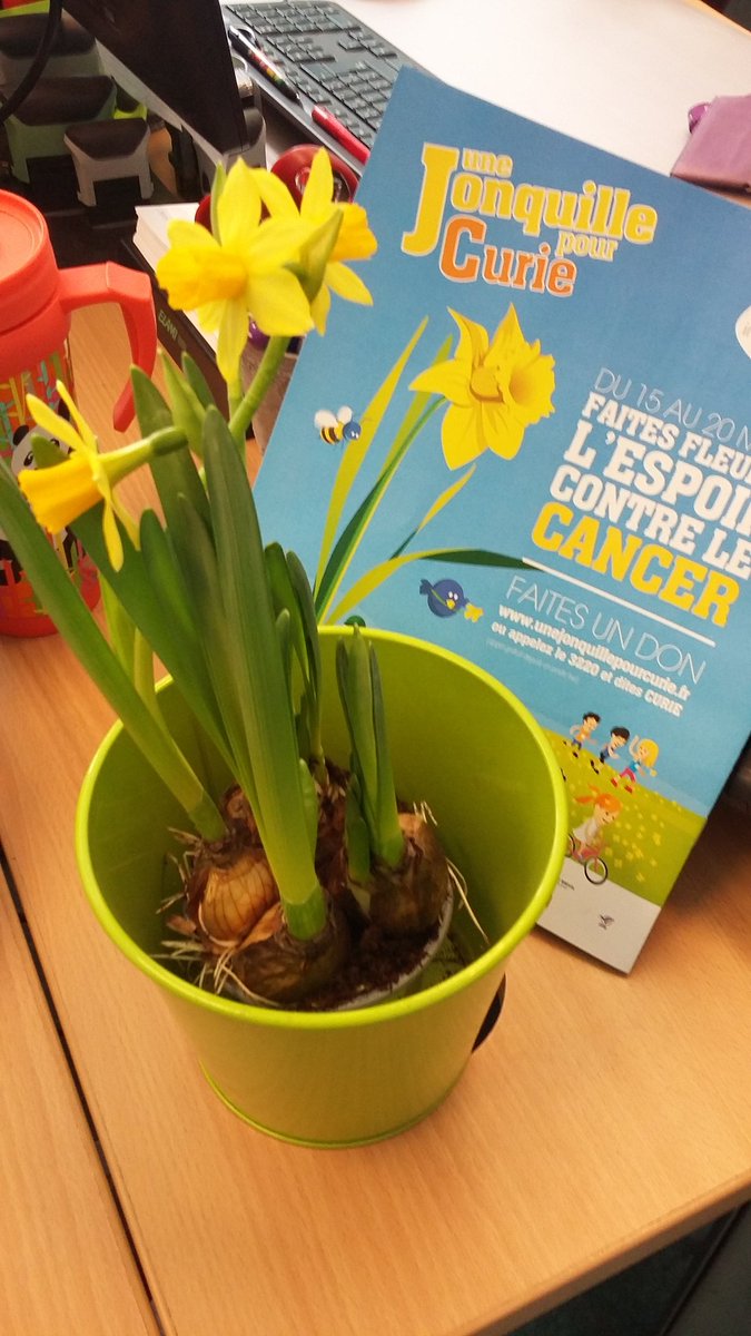 Caroline_PILLET's tweet photo. #parvisdeparisstlazare #UneJonquillePourCurie 
Faites comme nous, soutenez la recherche https://t.co/mubPx9aUkK