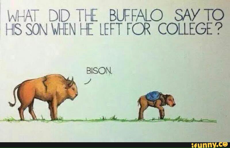 SamAuvil's tweet photo. @TheBuffaloGame https://t.co/s5c6lp9MAo