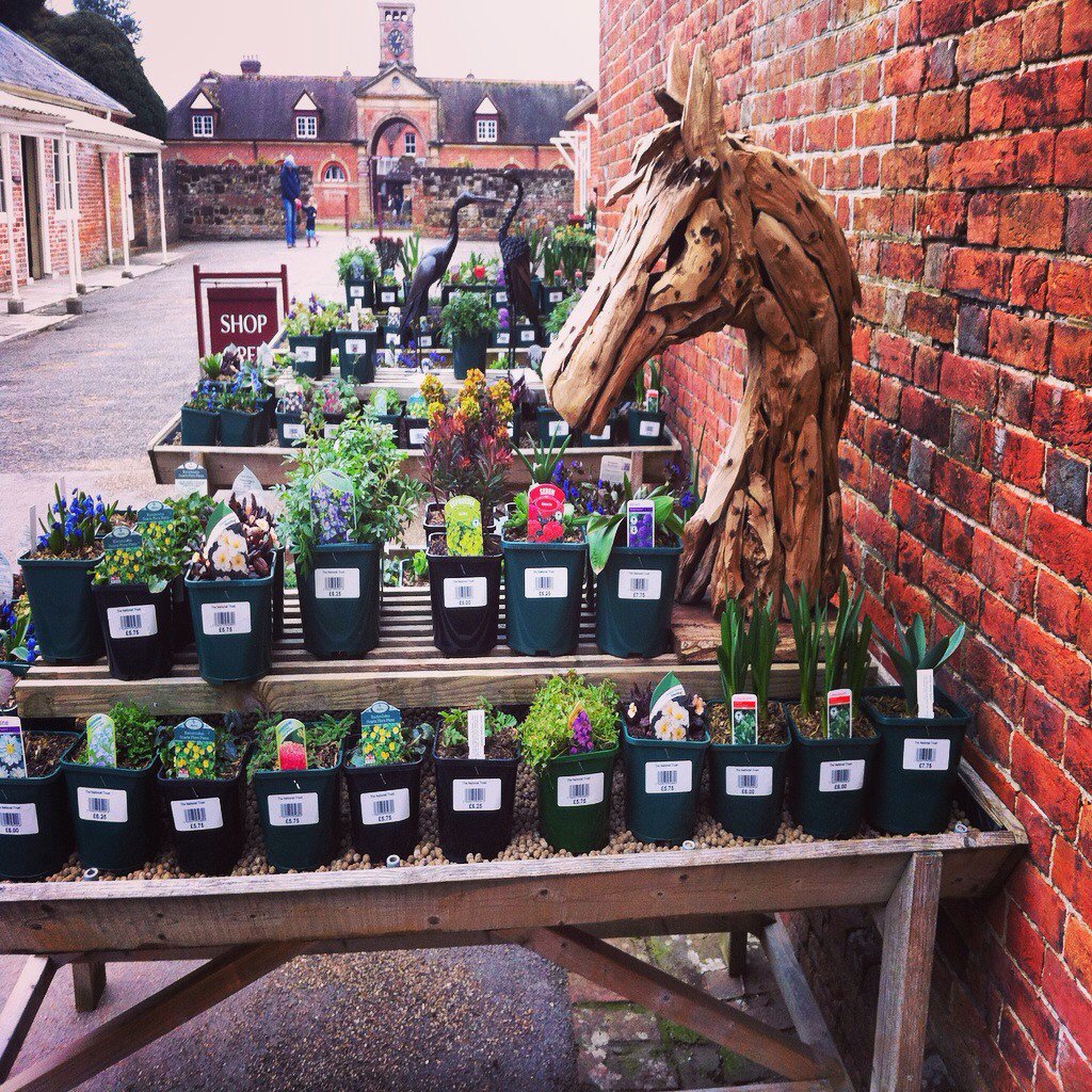 NTKingstonLacy's tweet photo. The #KLShop has had it's flower delivery! #flower #dorset #gardens https://t.co/THmnPC0a0M