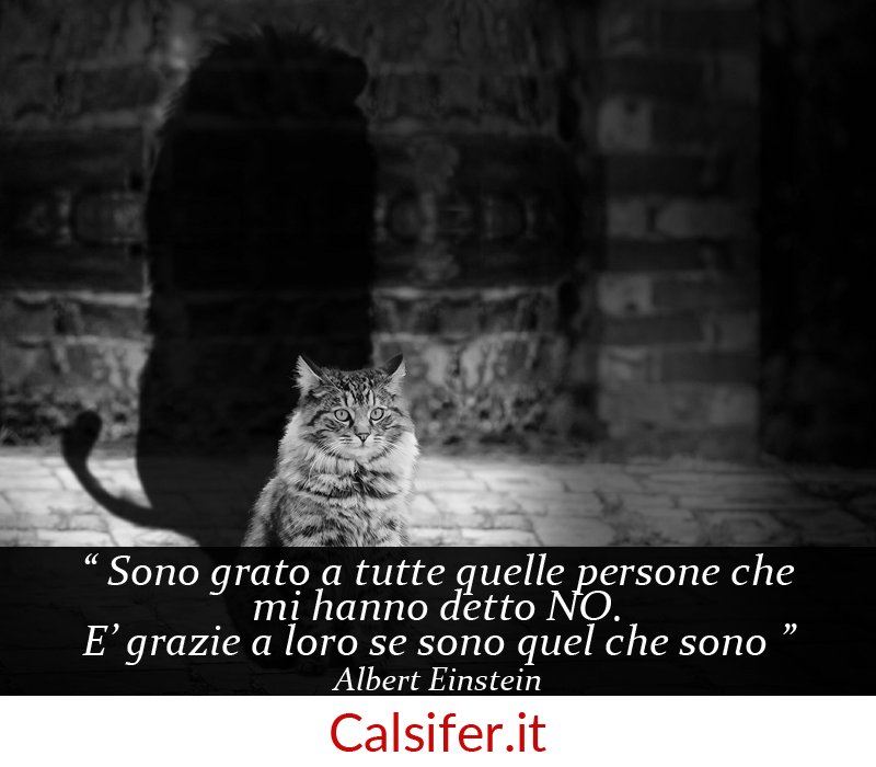 CalsiferProcne's tweet photo. #perGioire pensa a chi non crede in te
#vincendo
#credendo #in_me
#risollevando il morale
https://t.co/lGTmgZomHB https://t.co/Pb7pYbv8EP
