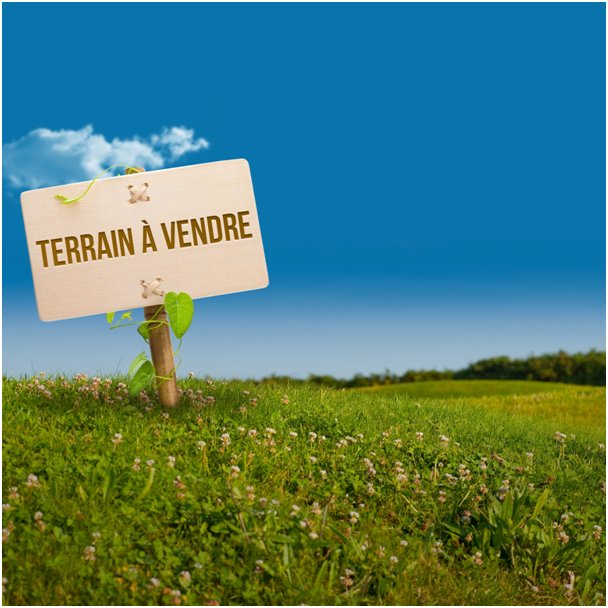 RemaxStrassen tweet picture