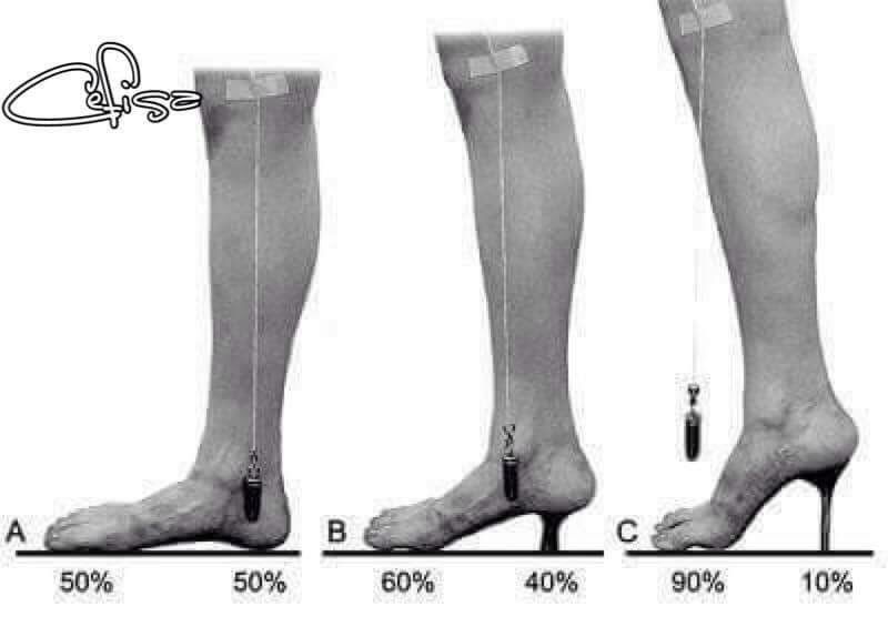 Harwich Therapy tweet media