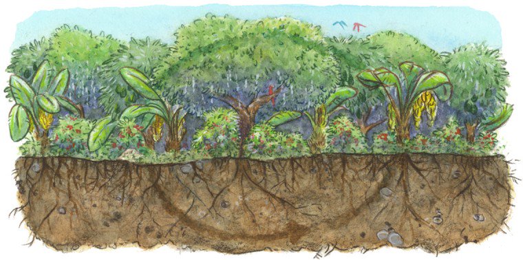JustinCMAdams's tweet photo. The farm that grows climate solutions. https://t.co/mbe4zfbX4Y @ensiamedia #agriculture https://t.co/gi77mZ7MQE