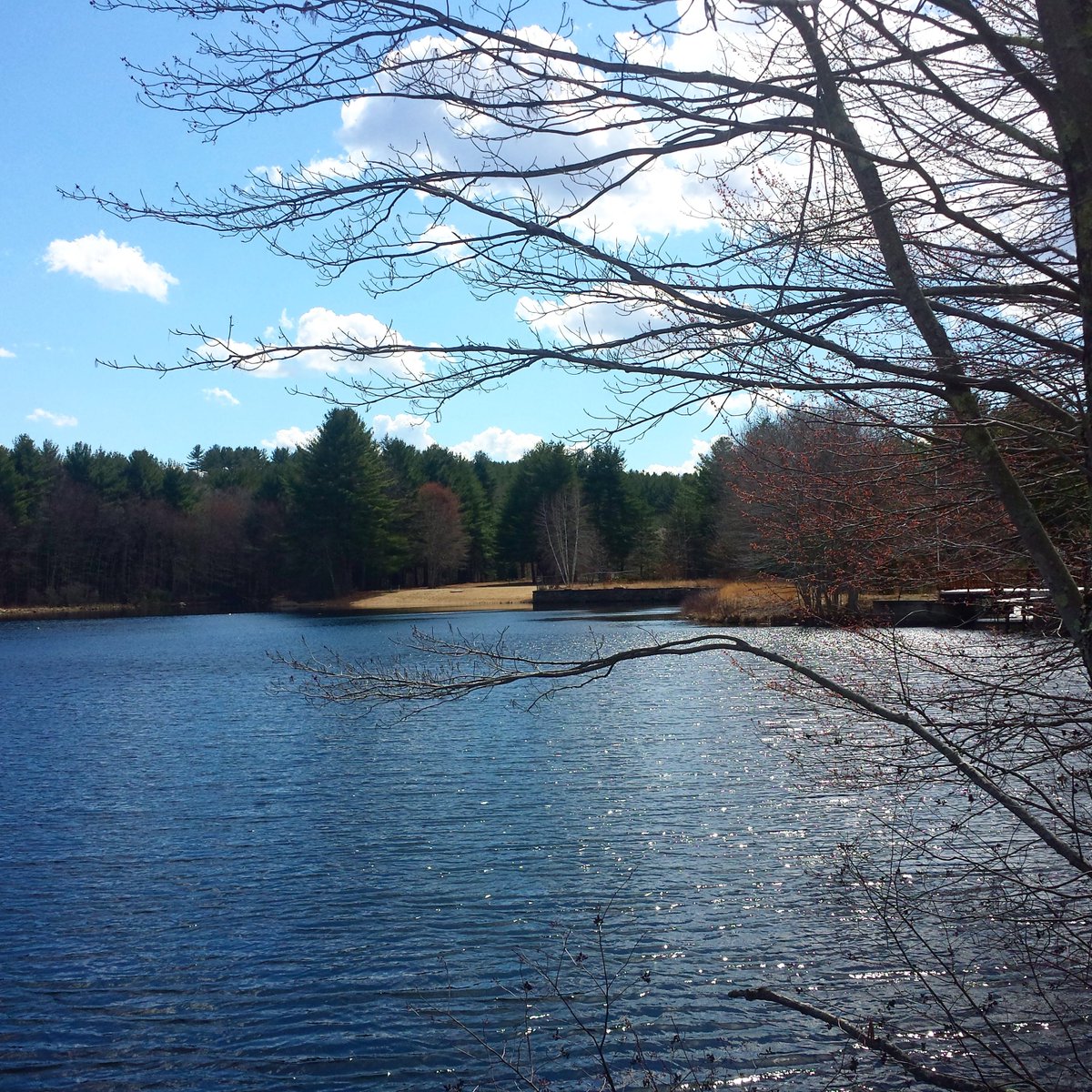 OneMnetHealth's tweet photo. Looks a little like spring in CT! Although.. wait. this weekend we are getting a foot of snow? #WeatherInNewEngland https://t.co/RM5luaX8Fw