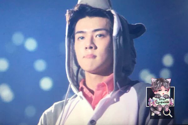 prewter_ tweet picture