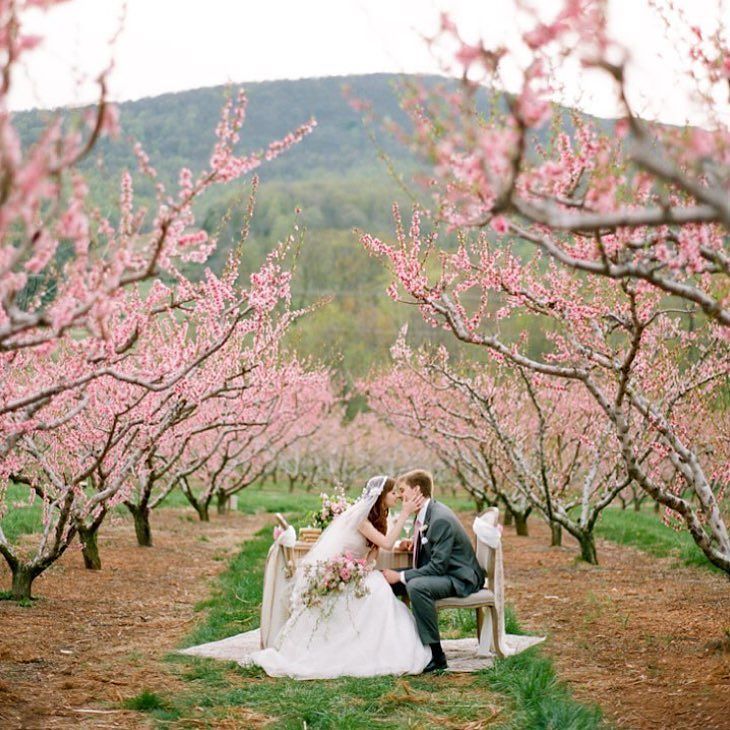 Hello Spring. 
#styling #photoshoot #bloom #weddingdress #brideandgroom #weddingstyle #elo… ift.tt/1VjsmT8