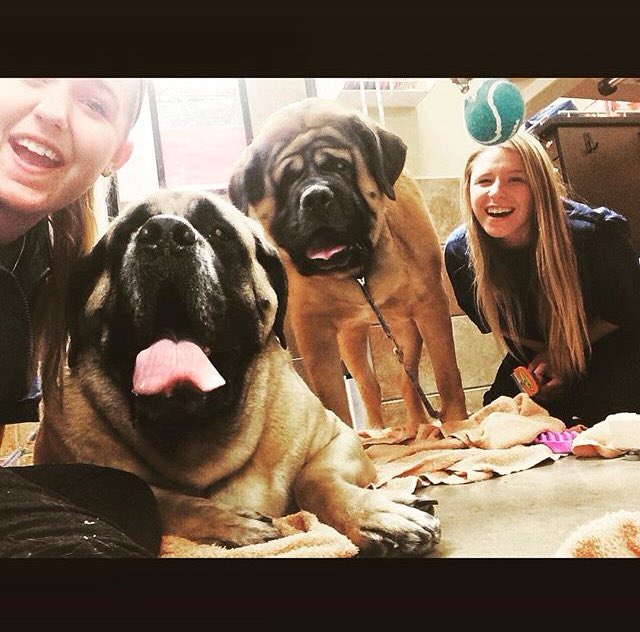 PetSmart #2359 tweet media
