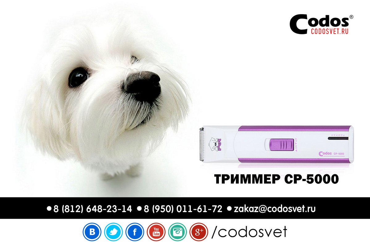 Skyteacher's tweet photo. https://t.co/3Tl5Imo9RH
#машинкадлястрижки #codos #codosvet #cp5000 #триммер #товарыдляживотных #зоотовары https://t.co/WB8p4UvAyb