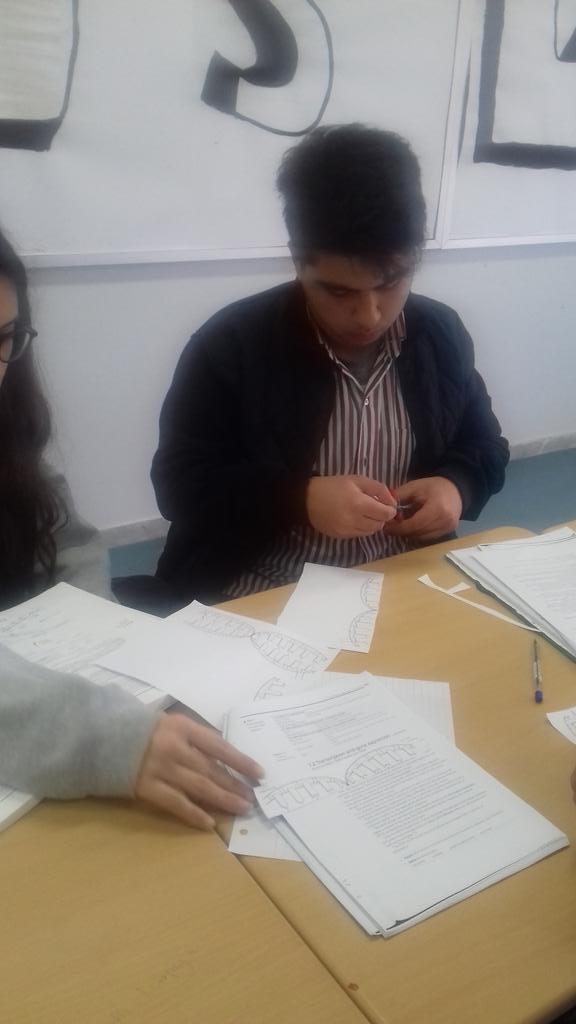 NadiaSaheb's tweet image. DNA as copied into mRNA activity #transcription  #genes #11AS @Hhhsinfo