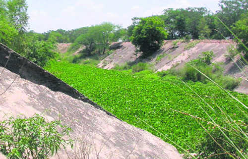 thetribunechd's tweet image. Centre unlikely to intervene in #Punjab-#Haryana #waterrow tribuneindia.com/news/nation/ce…