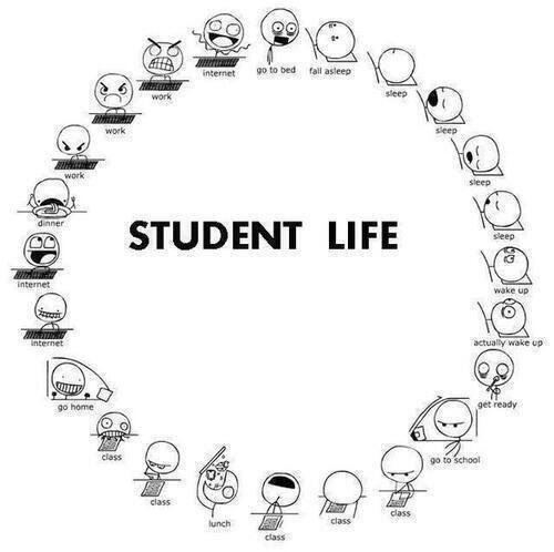 StudentBanter22's tweet image. 100%