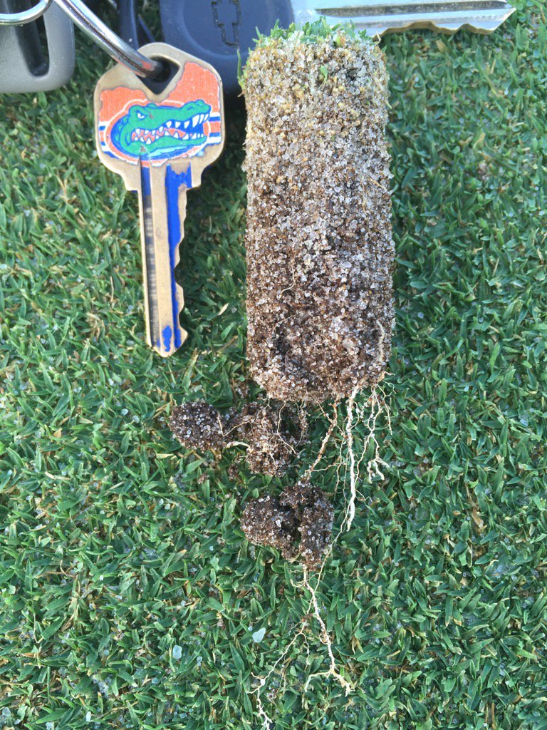 bbrowningfert's tweet photo. .#ContecDG 0-0-25 #RootHonyPlus @PathwayBioT_O @TheAndersonsSR @AndersonsTurf @joeydesimone15 #roots! https://t.co/ozLHc2h0lc