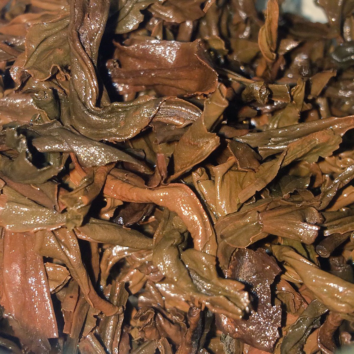 SteepingMadCup's tweet photo. Oh the #tealeaves are so purrrttyyyyy #lovethecuppa #tea https://t.co/LIi9NJUonb