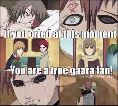 Zane Princeton (@zane_princeton) on Twitter photo 