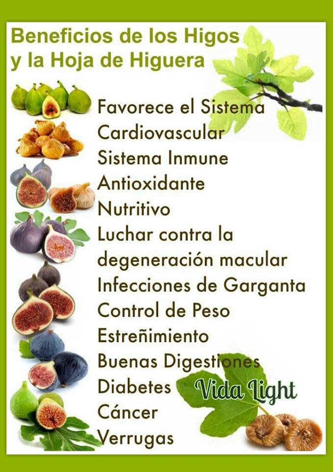 vidalightcentro's tweet photo. El Higo.
#Vidalight https://t.co/jxwzcrKJuq