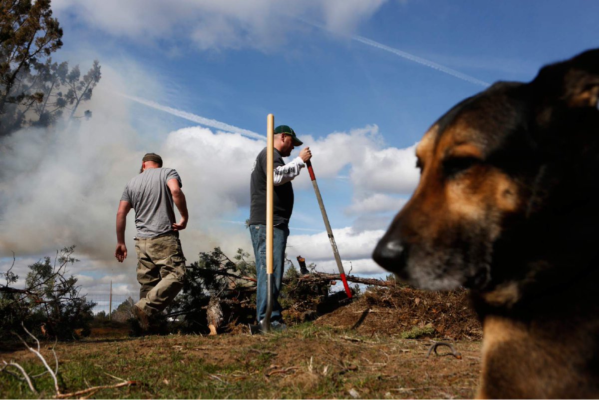 Tess Freeman tweet media