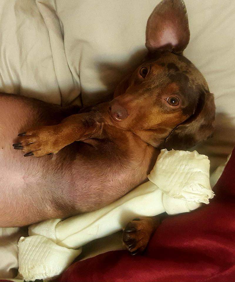 BostonWeiners's tweet image. BEAUTY