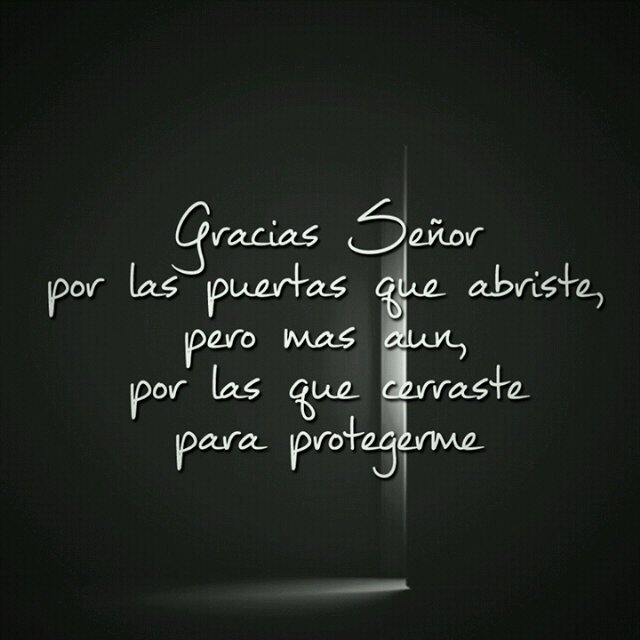 Amarilys perez tweet media