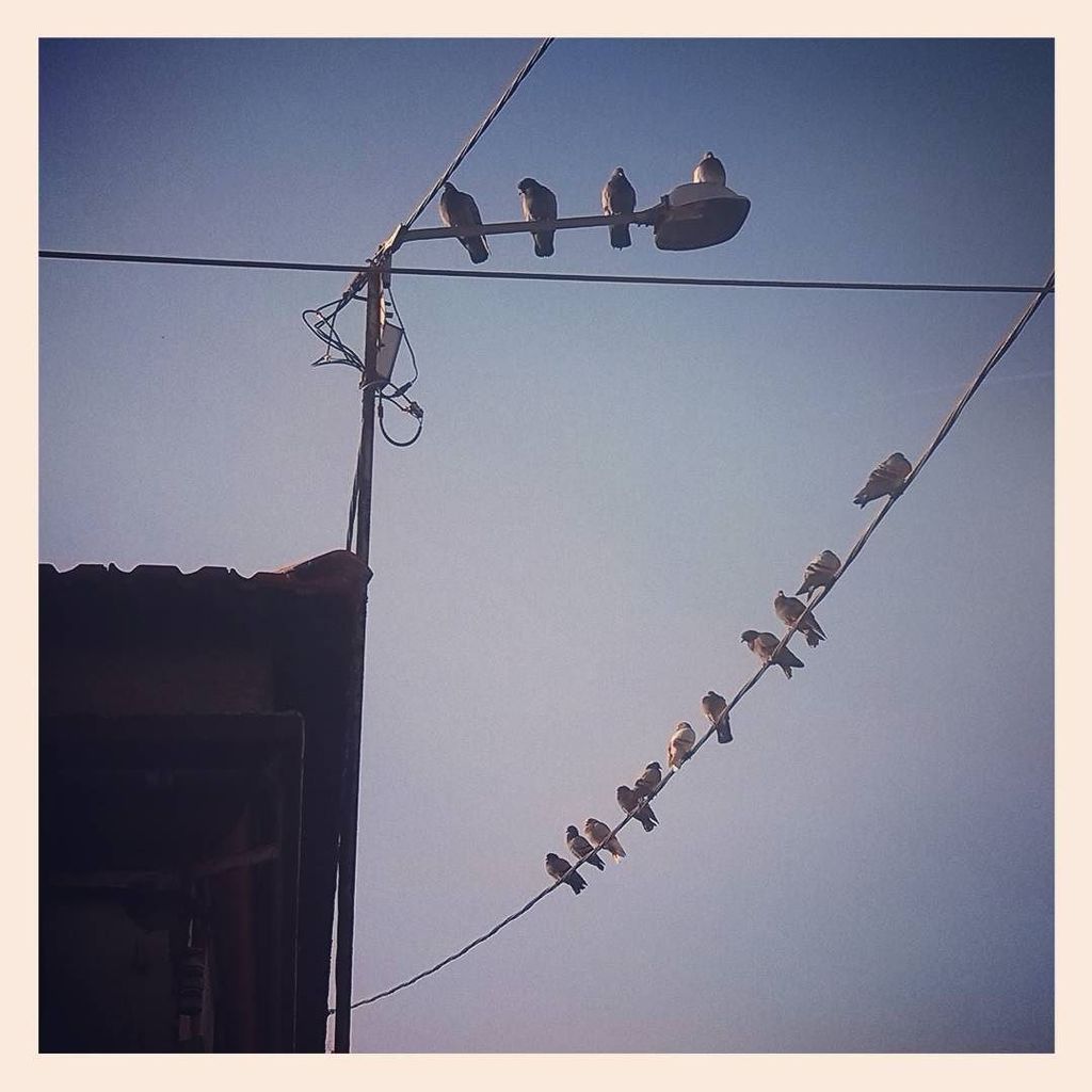 aMirabet's tweet photo. #FOTOGRAFÍA #phonografia #barcelona #stadteinsamkeit #besosdaily #riubesòs https://t.co/xWCUr3yOY7 https://t.co/V3oX5uZsI1